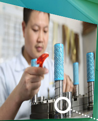 榴莲视频免费下载冲压连续模