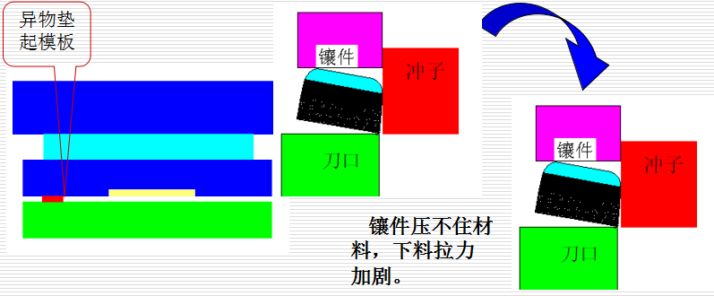 榴莲视频免费下载模具