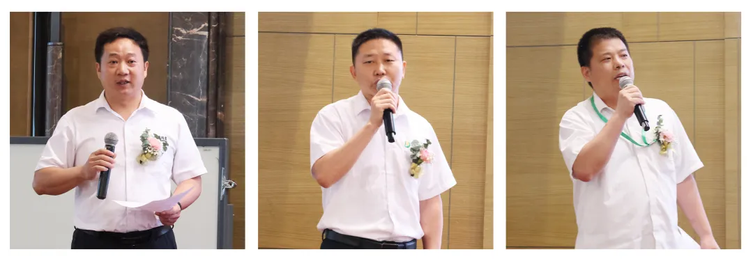 精密榴莲视频免费下载冲压